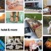 Pihenés és élmények egy helyen: szállodáink kiegészítő szolgáltatásai