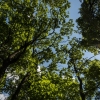 The Hotel & More Group is Committed to Reducing Its Carbon Footprint