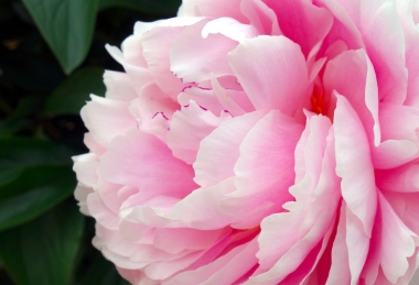 Balatoni hosszú hétvége - Pünkösd Akadémia Hotel Balatonfüred