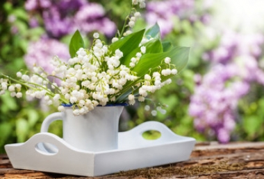 Pünkösdi ajánlat Castrum Hotel Székesfehérvár Pünkösdi ajánlat Castrum Hotel Székesfehérvár