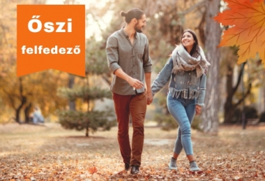 Wellness kikapcsolódás a kastélyban (min. 4 éj) Fried Kastély Hotel Hotel