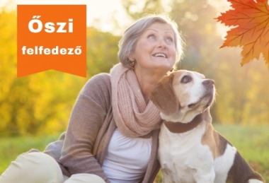 Online offer with breakfast Stadthotel Waidhofen an der Thaya Hotel